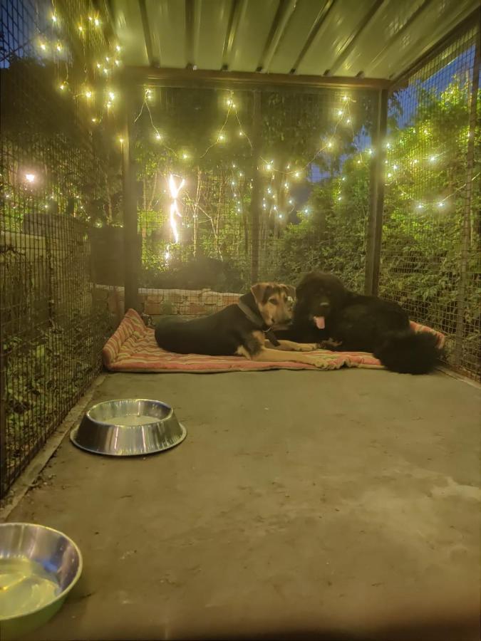 H7Stay Luxury Cottages And Camps, Rishīkesh Buitenkant foto